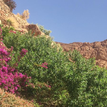 Auberge Le Festival Todra Gorge Ait Baha Exterior photo