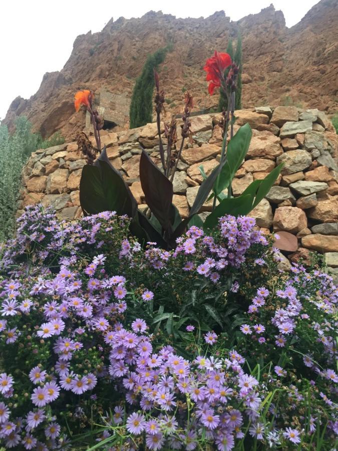 Auberge Le Festival Todra Gorge Ait Baha Exterior photo
