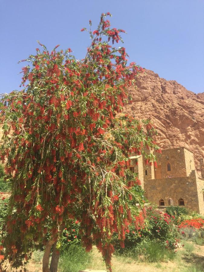 Auberge Le Festival Todra Gorge Ait Baha Exterior photo