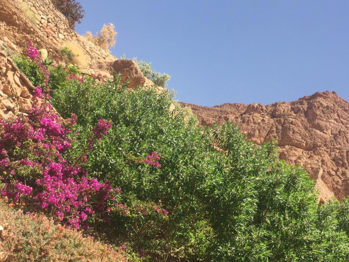 Auberge Le Festival Todra Gorge Ait Baha Exterior photo