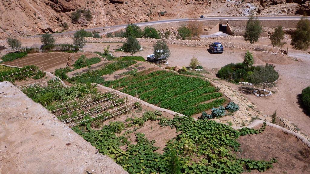 Auberge Le Festival Todra Gorge Ait Baha Exterior photo